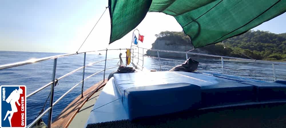 DivingKemer25.jpg